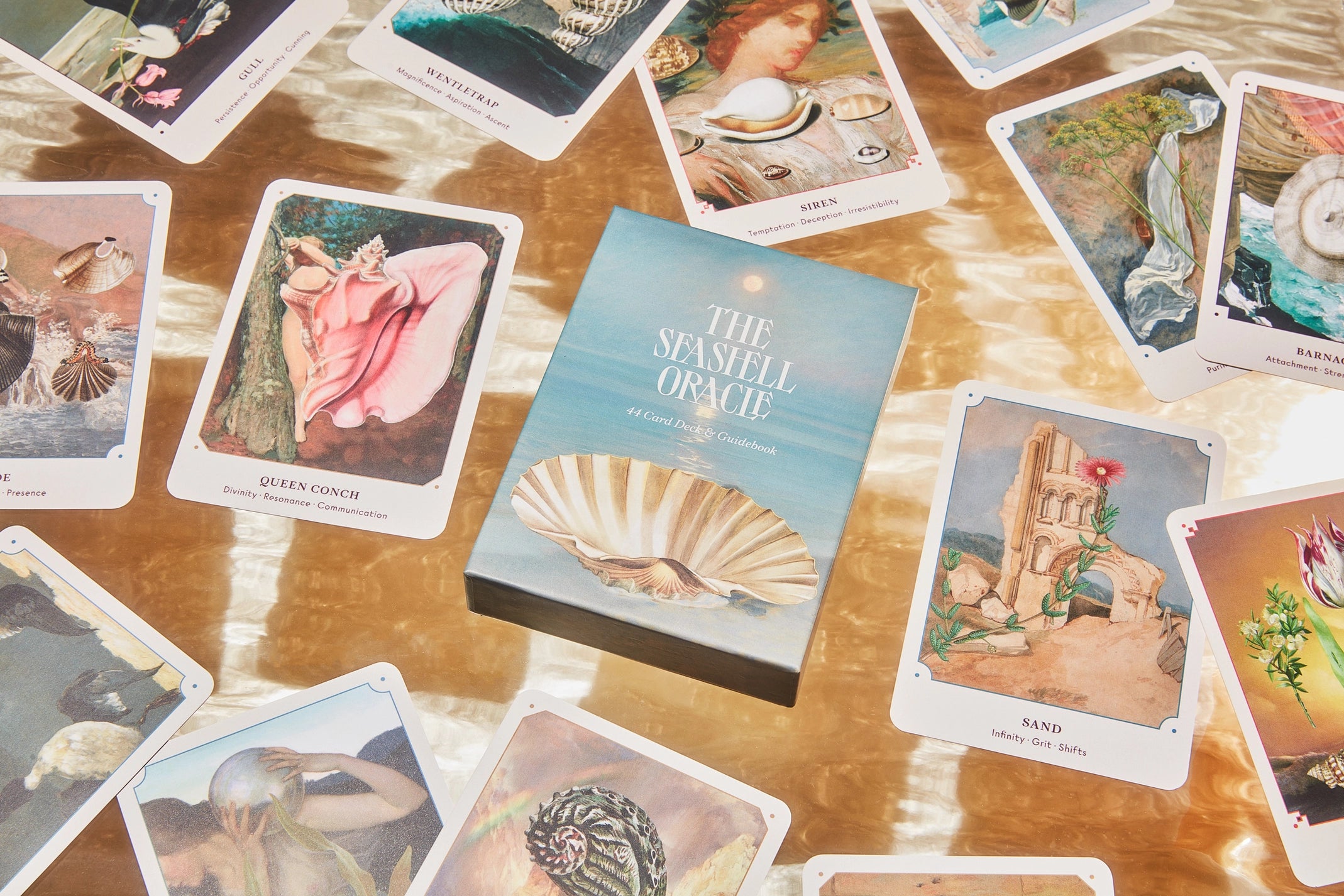 The Seashell Oracle: 44 Card Deck & Guidebook - Broccoli