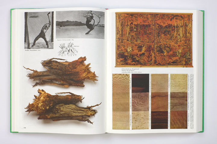 Batia Suter - Parallel Encyclopedia 2