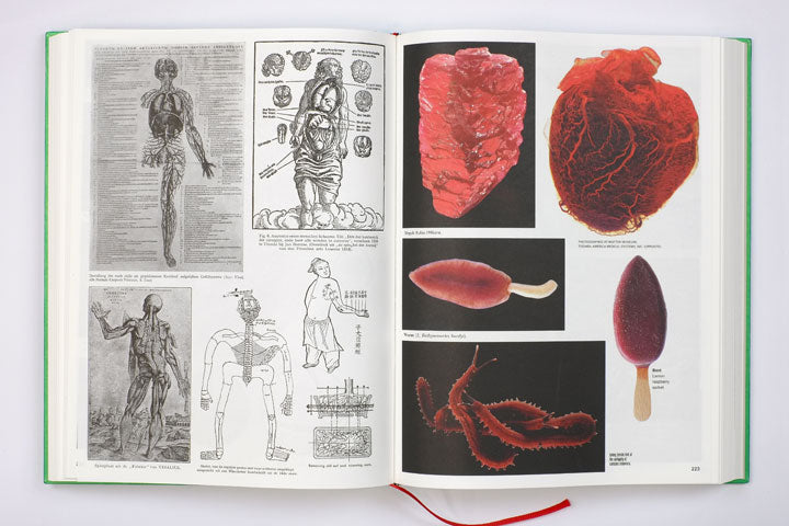 Batia Suter - Parallel Encyclopedia 2