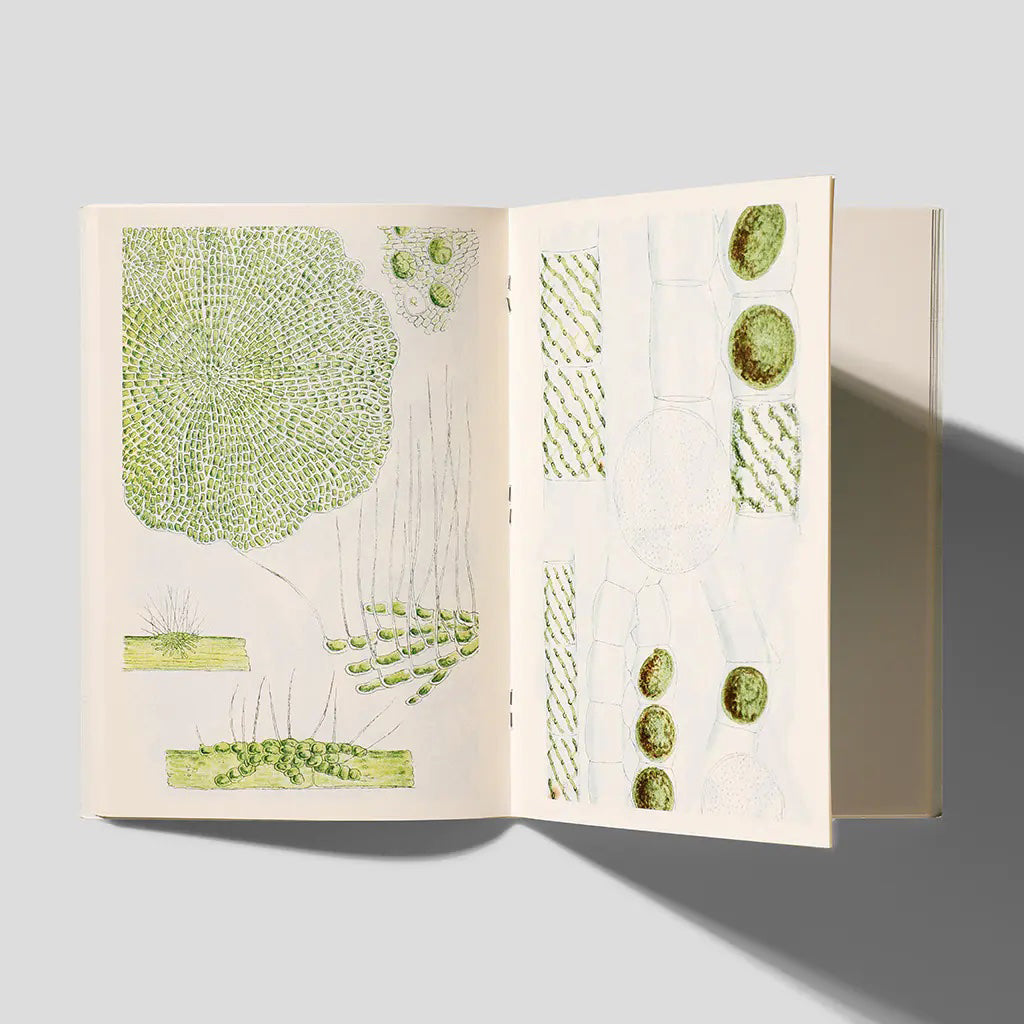 Cuaderno A5 - British Fresh-Water Algae