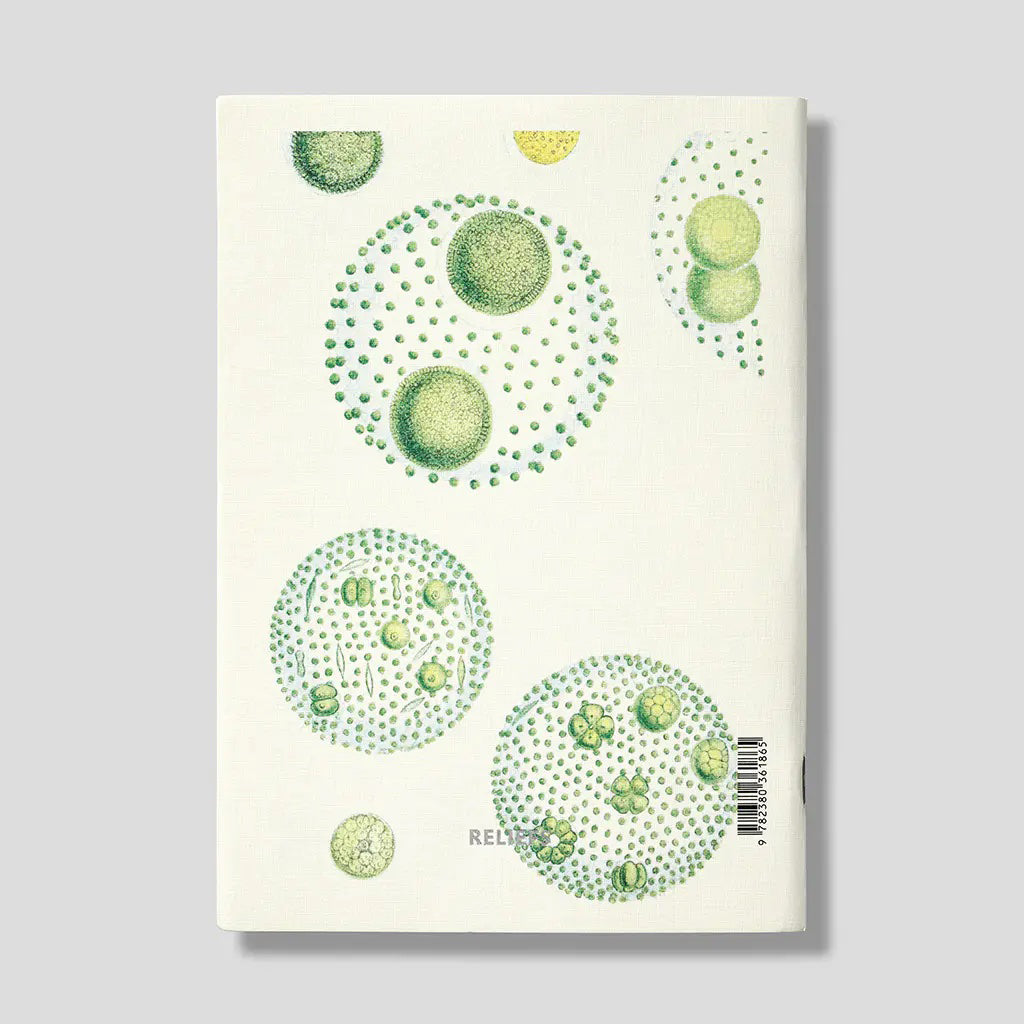 Cuaderno A5 - British Fresh-Water Algae