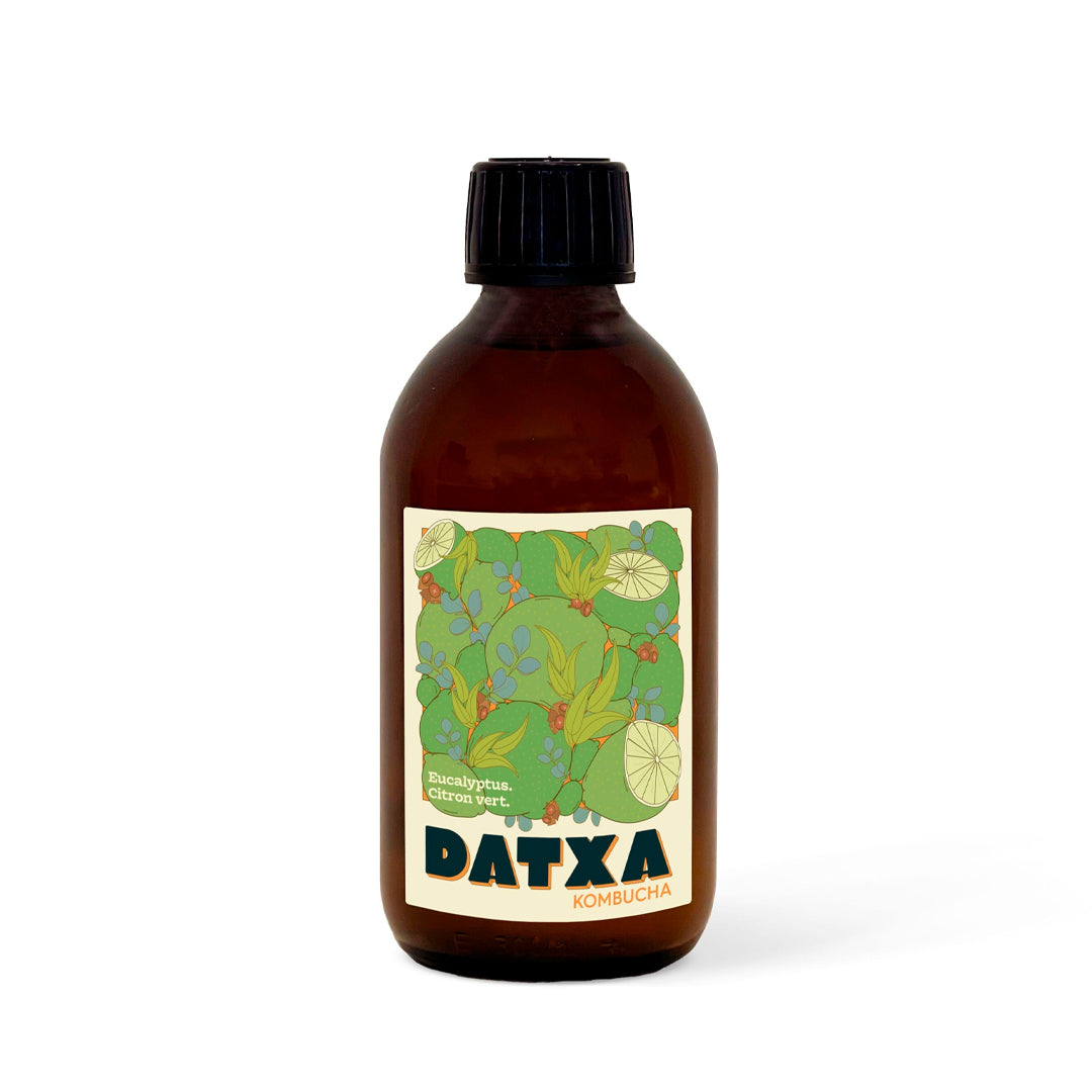 Kombucha Orgánica - Eucalipto & Lima
