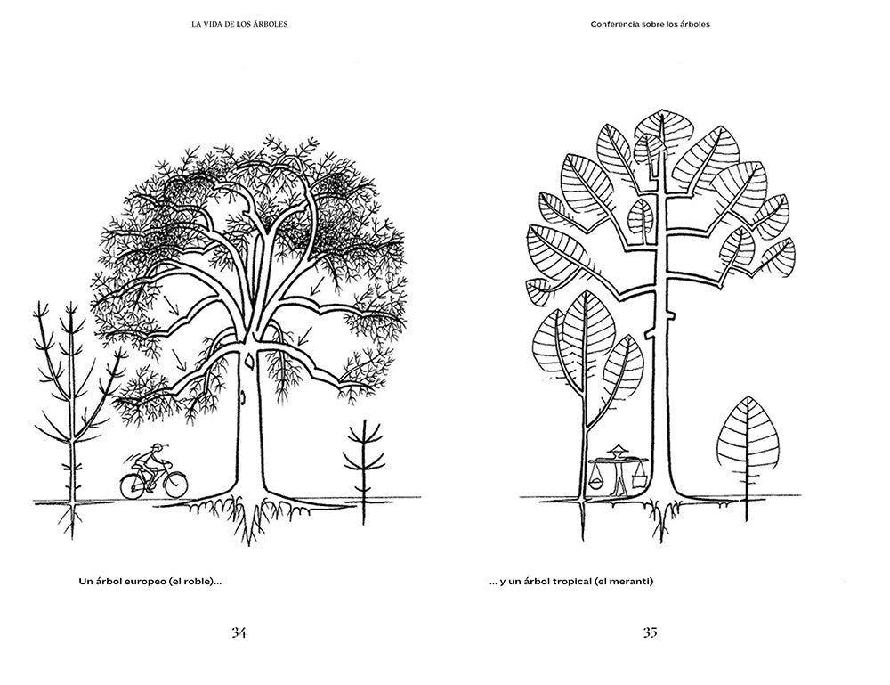 The Life of the Trees