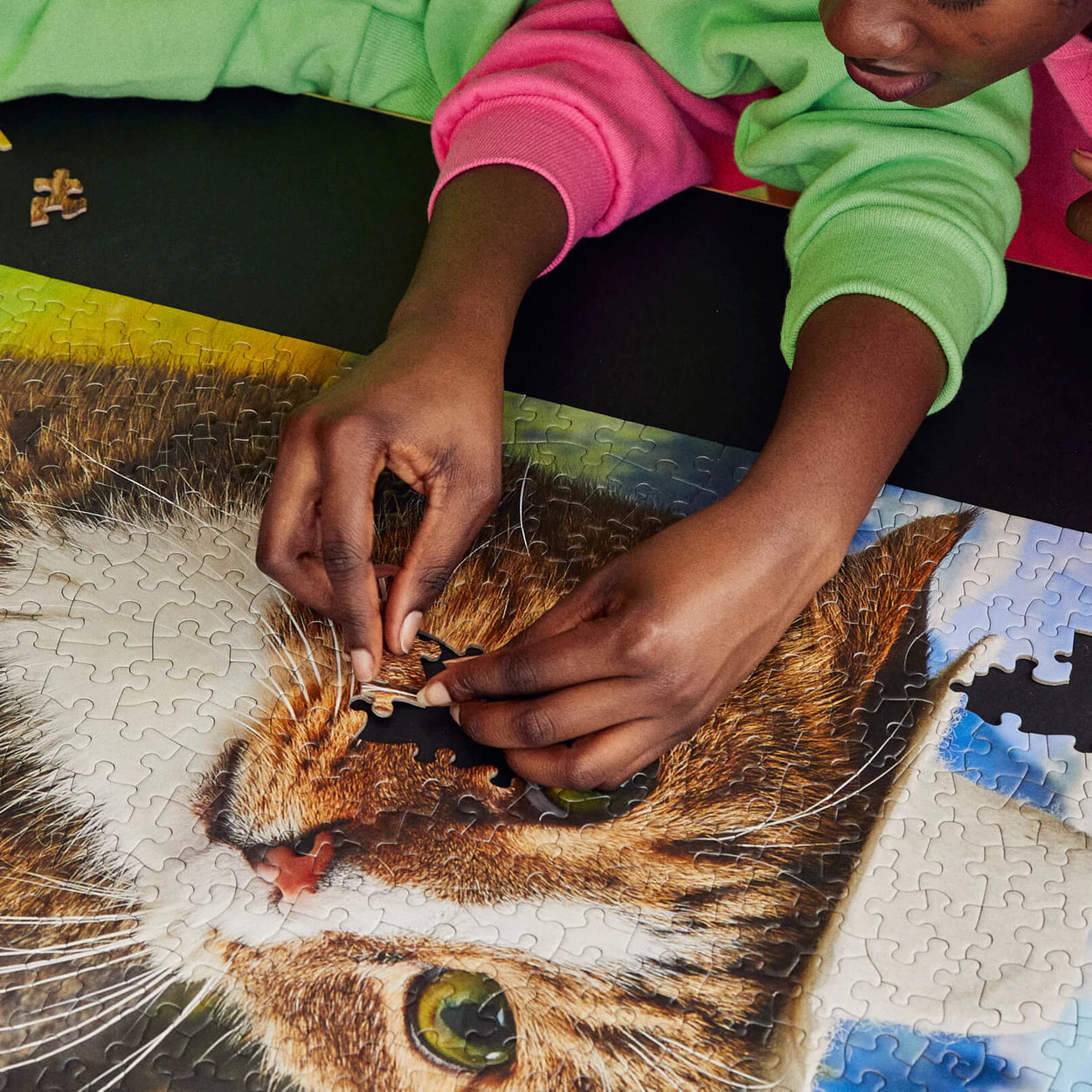 Puzzle Howdy Paw-tner - Le Puzz