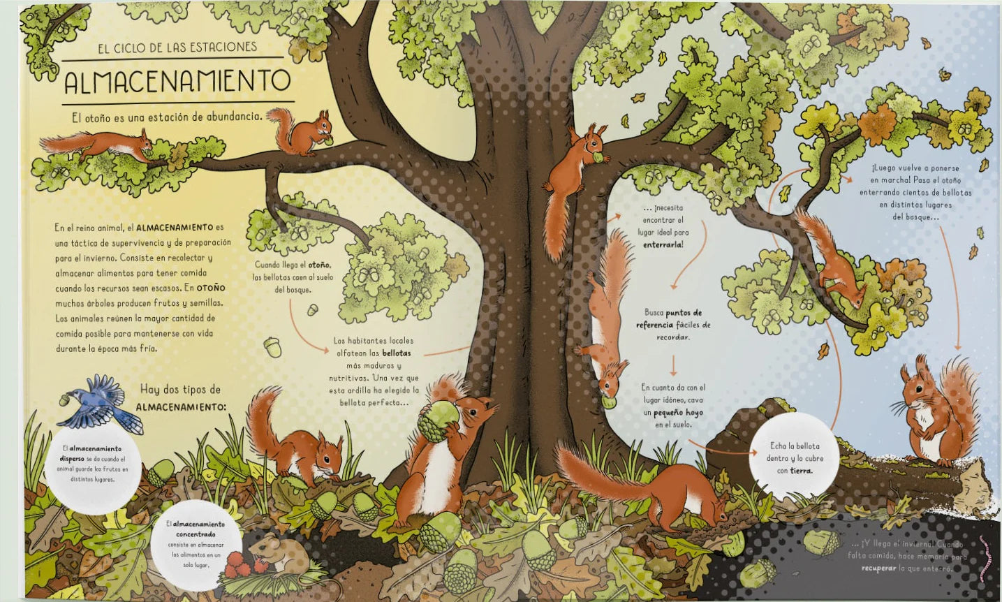 La naturaleza y sus misterios