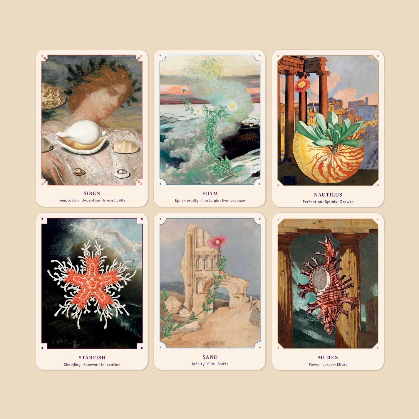 The Seashell Oracle: 44 Card Deck &amp; Guidebook - Broccoli