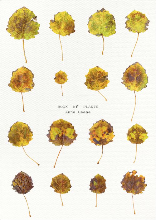 Book Of Plants - Anne Geene