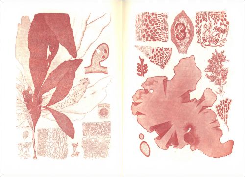 Cuaderno A5 - Japanese Algae