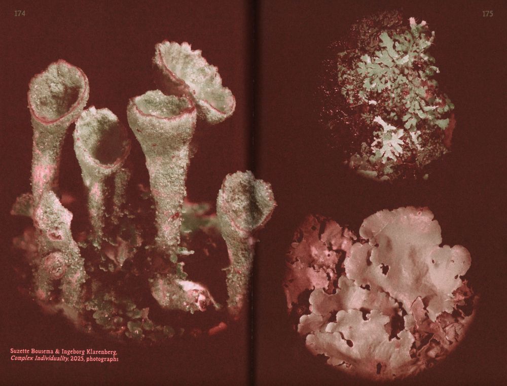 Queer Flora, Fauna, and Funga