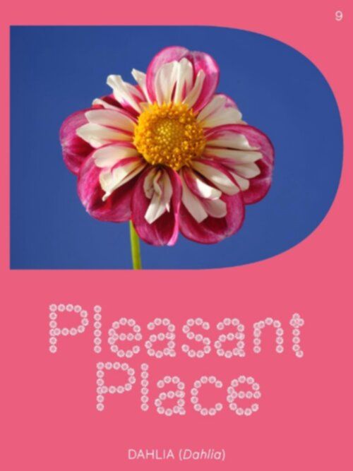 Pleasant Place 8: Dahlia