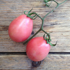 Semillas Tomate Rosa Tailandés