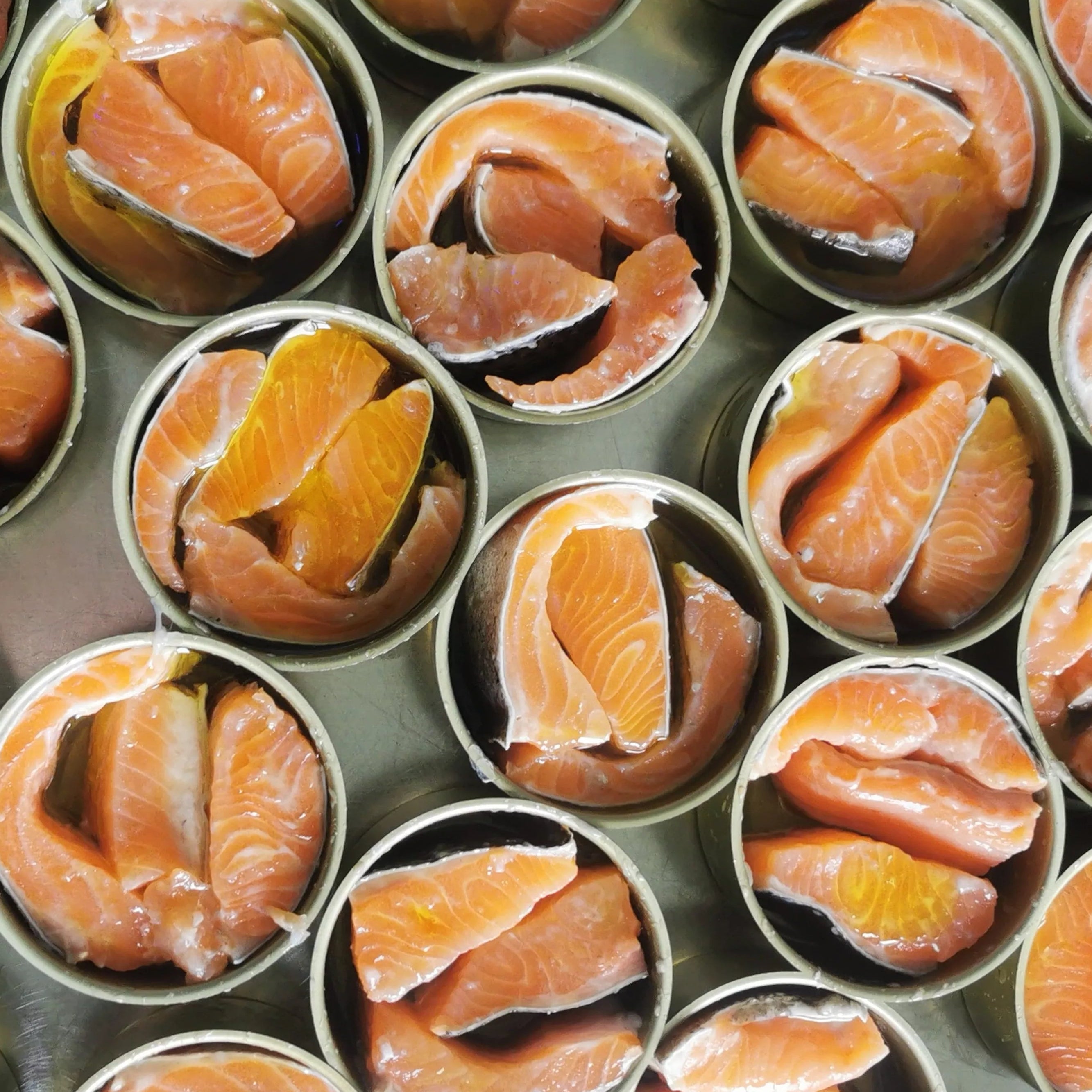 Smoked Pyrenean Trout