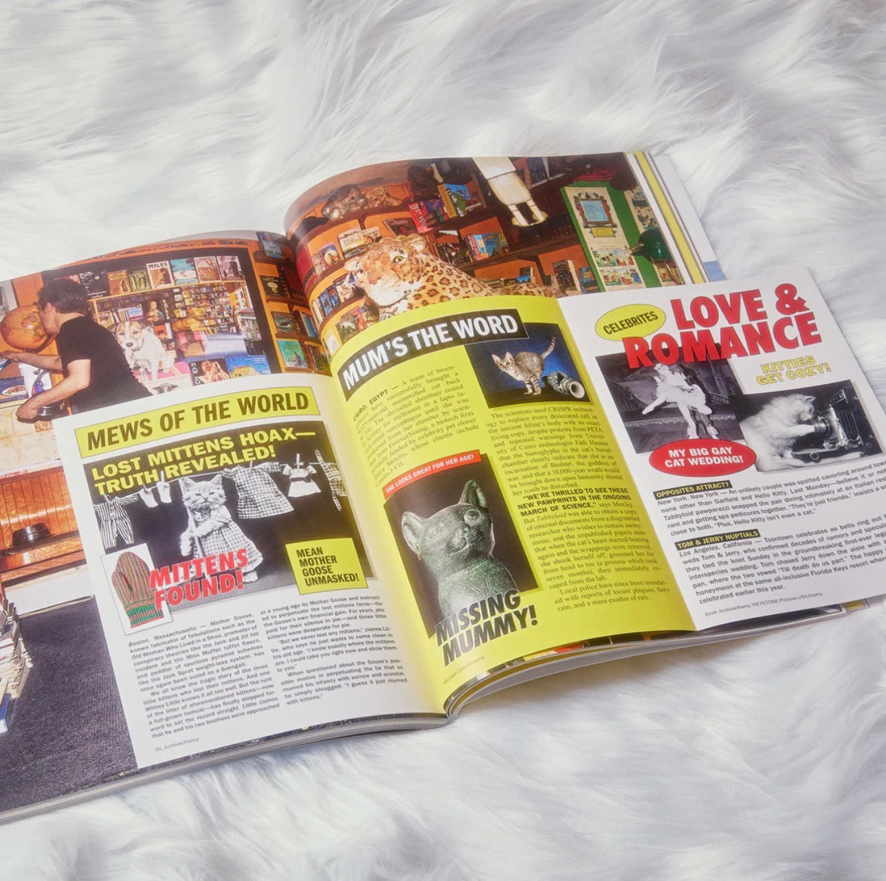 Catnip #2 - A magazine for cat people