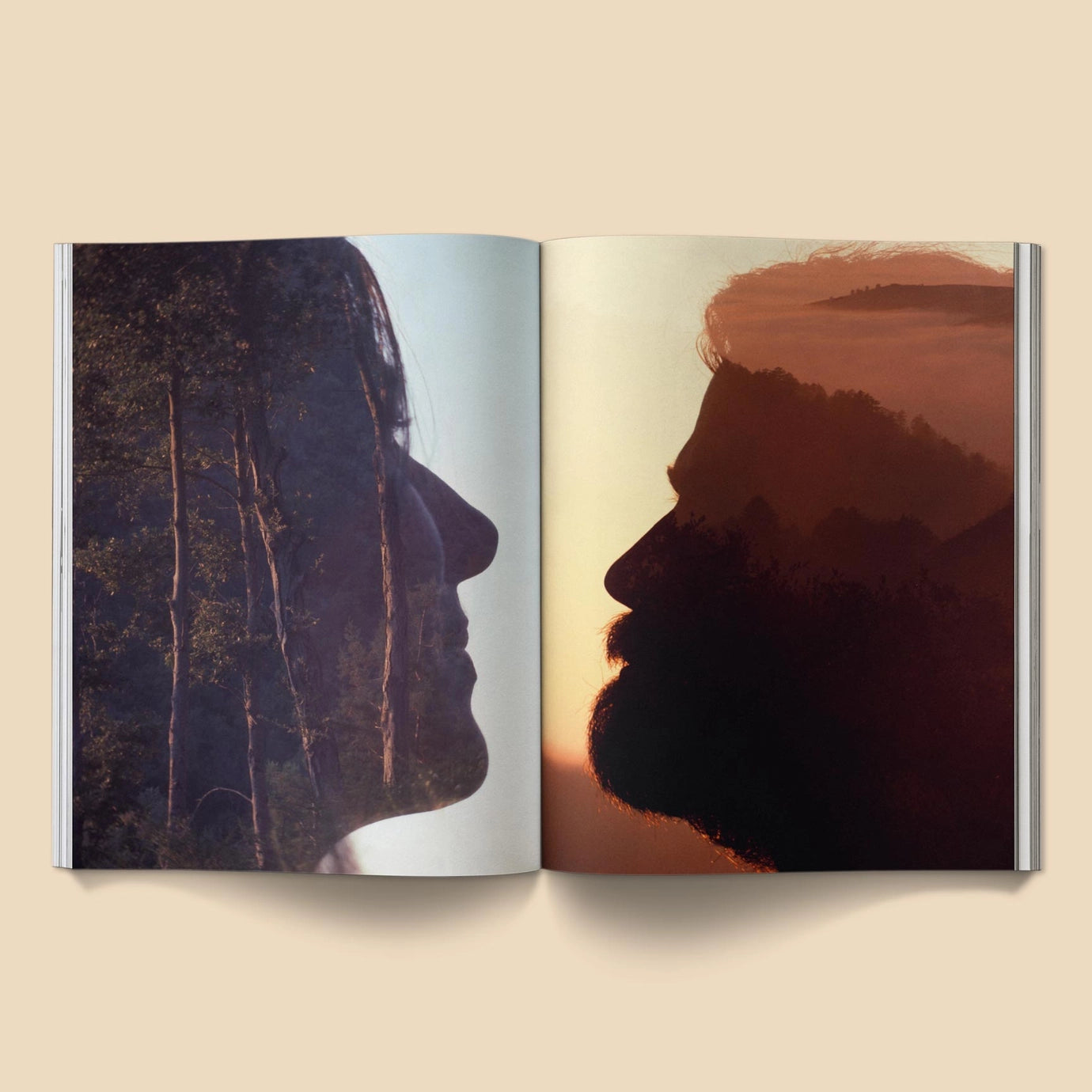 The Family Acid: California