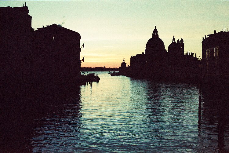 Ilfocolor 400 Cine Tone