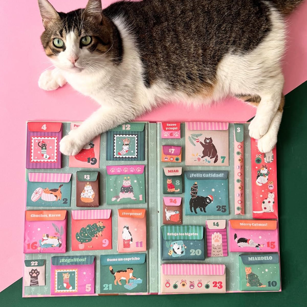 Feliz Gatidad: Calendario de adviento gatuno