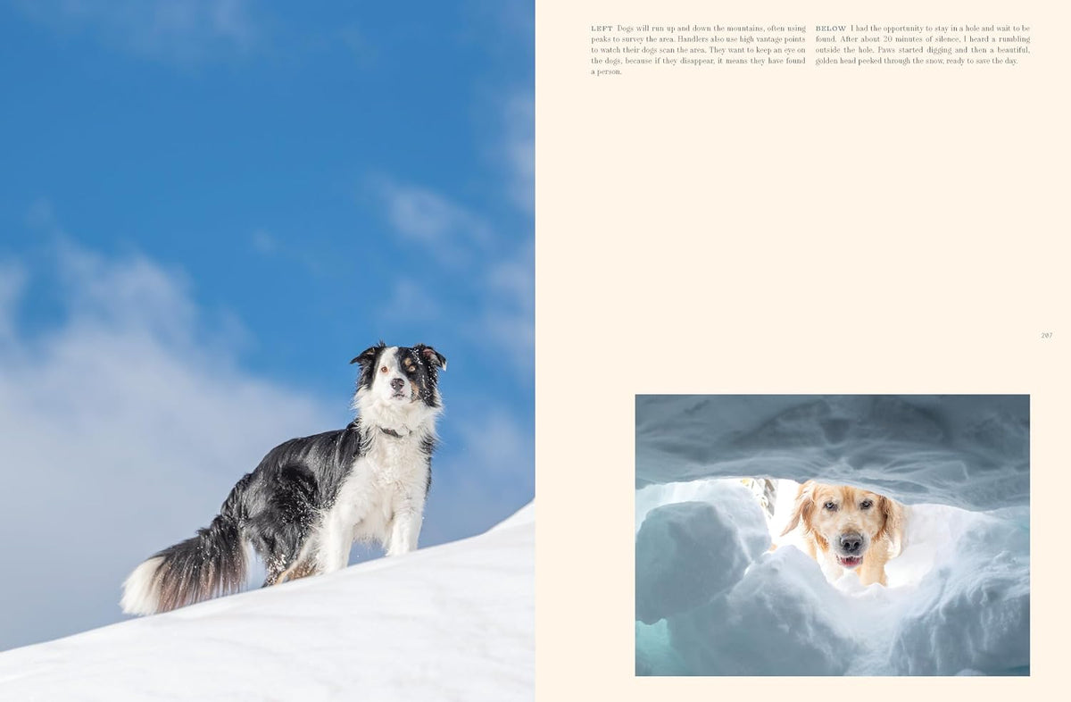Working Dogs: Through the lens of love and duty