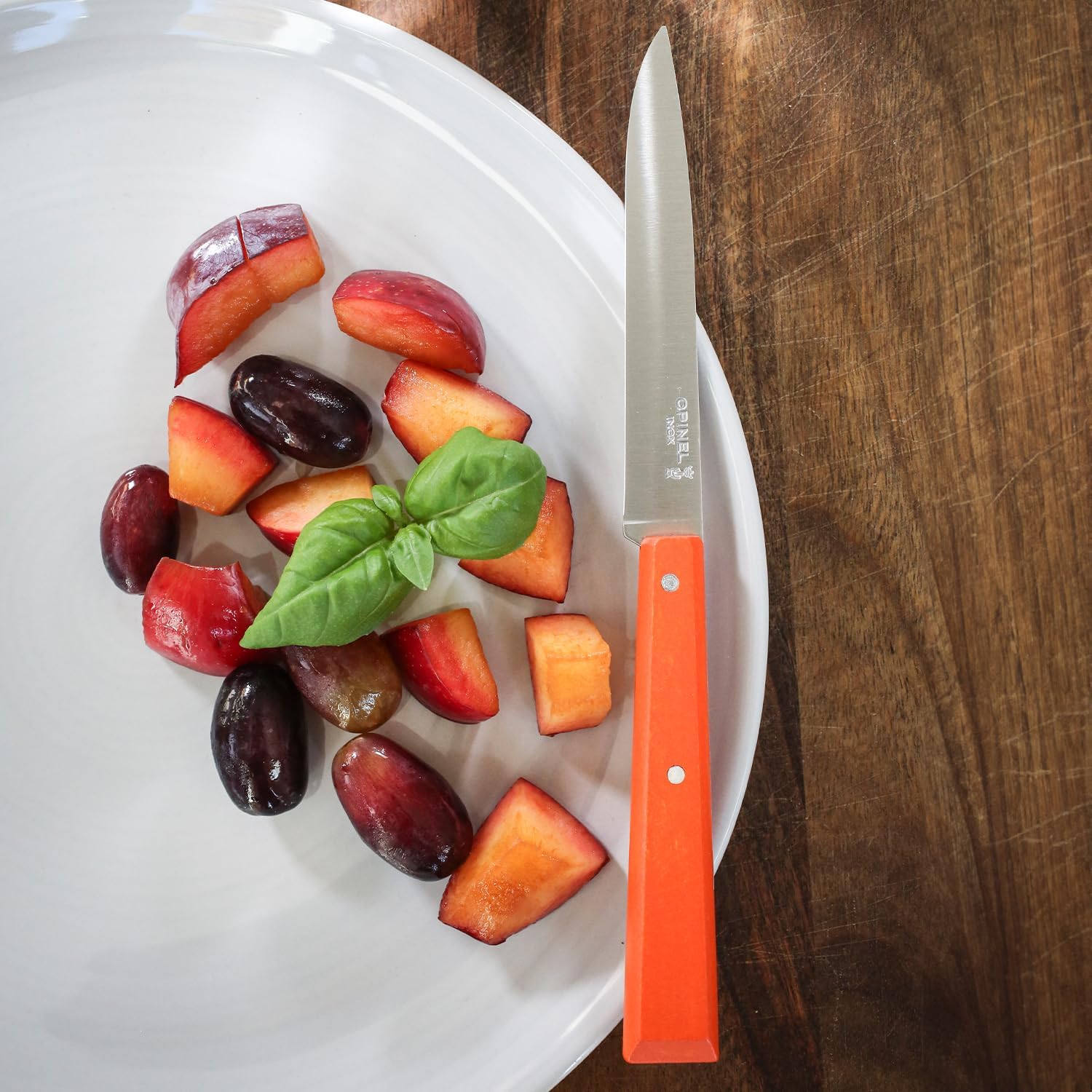 Estuche de 4 cuchillos de mesa N°125 Bon Appétit