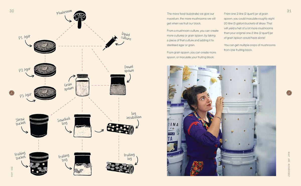 The Mushroomery: Grow, harvest and cook incredible mushrooms