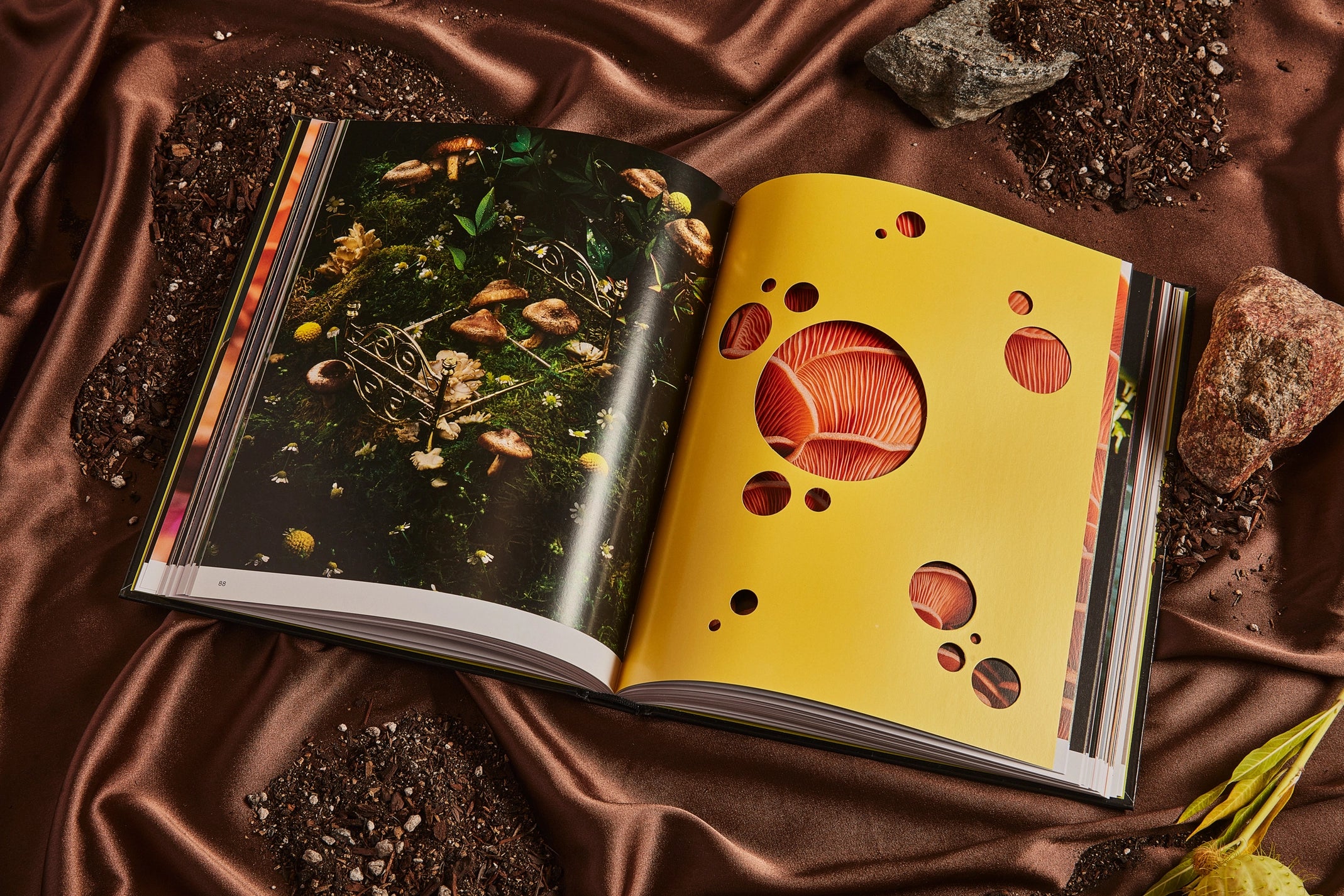 Spores : livre de photographies sur les champignons magiques