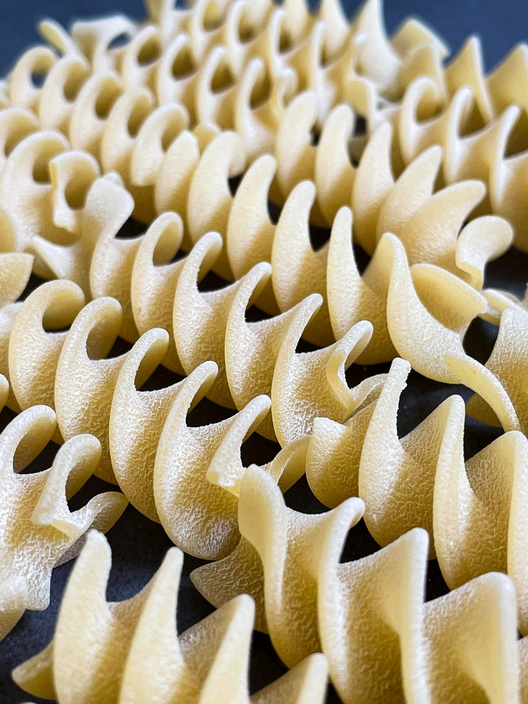 Fussilloni - pasta artesanal 100% italiana