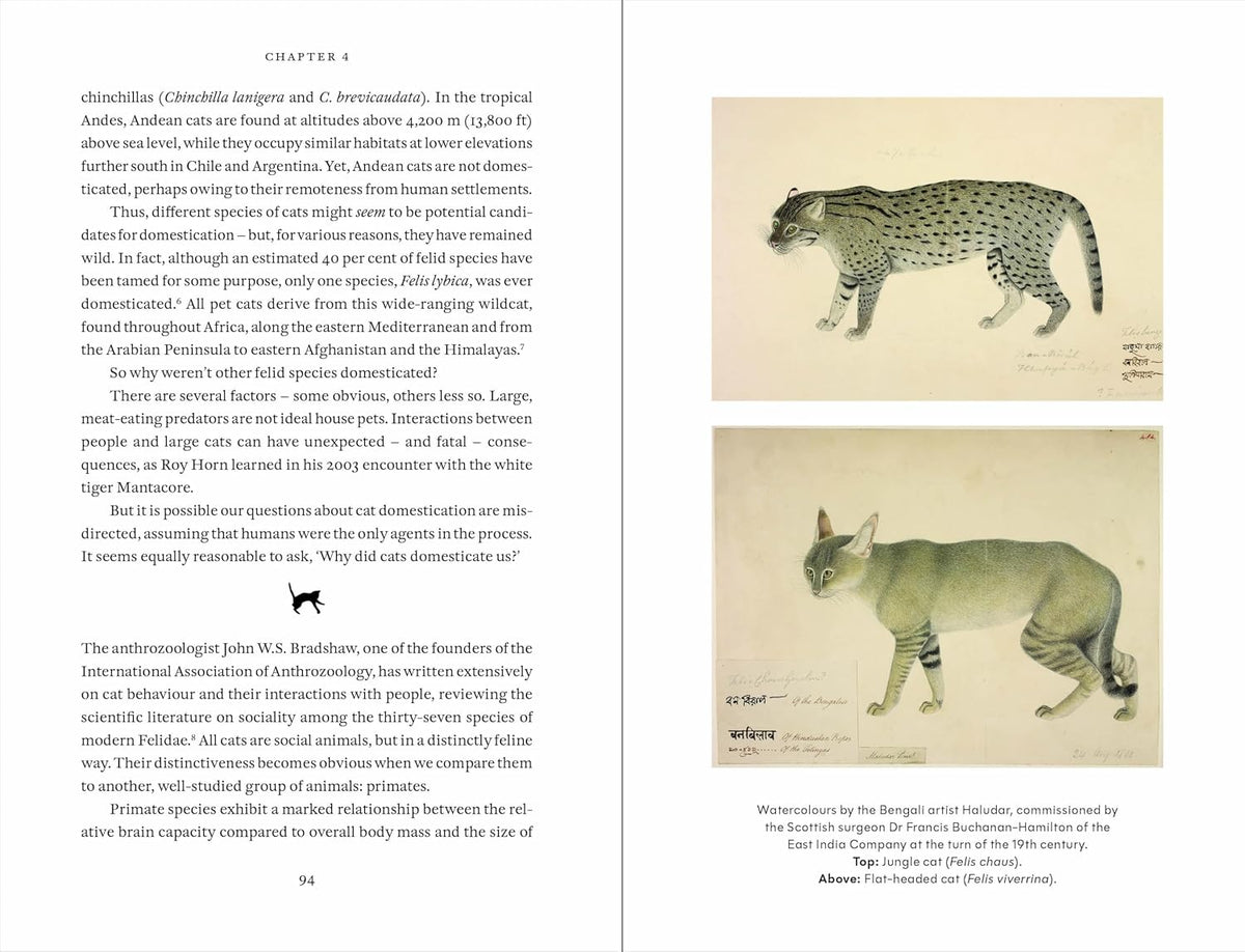 Cat Tales: A History