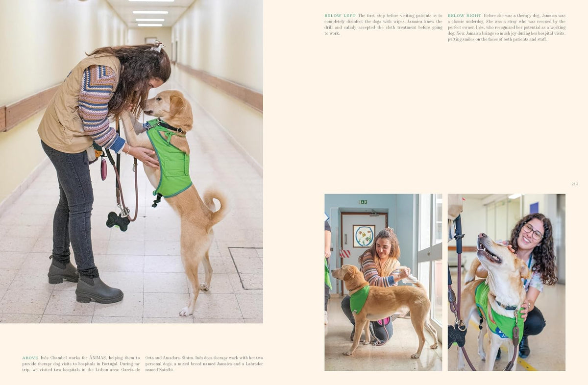 Working Dogs: Through the lens of love and duty