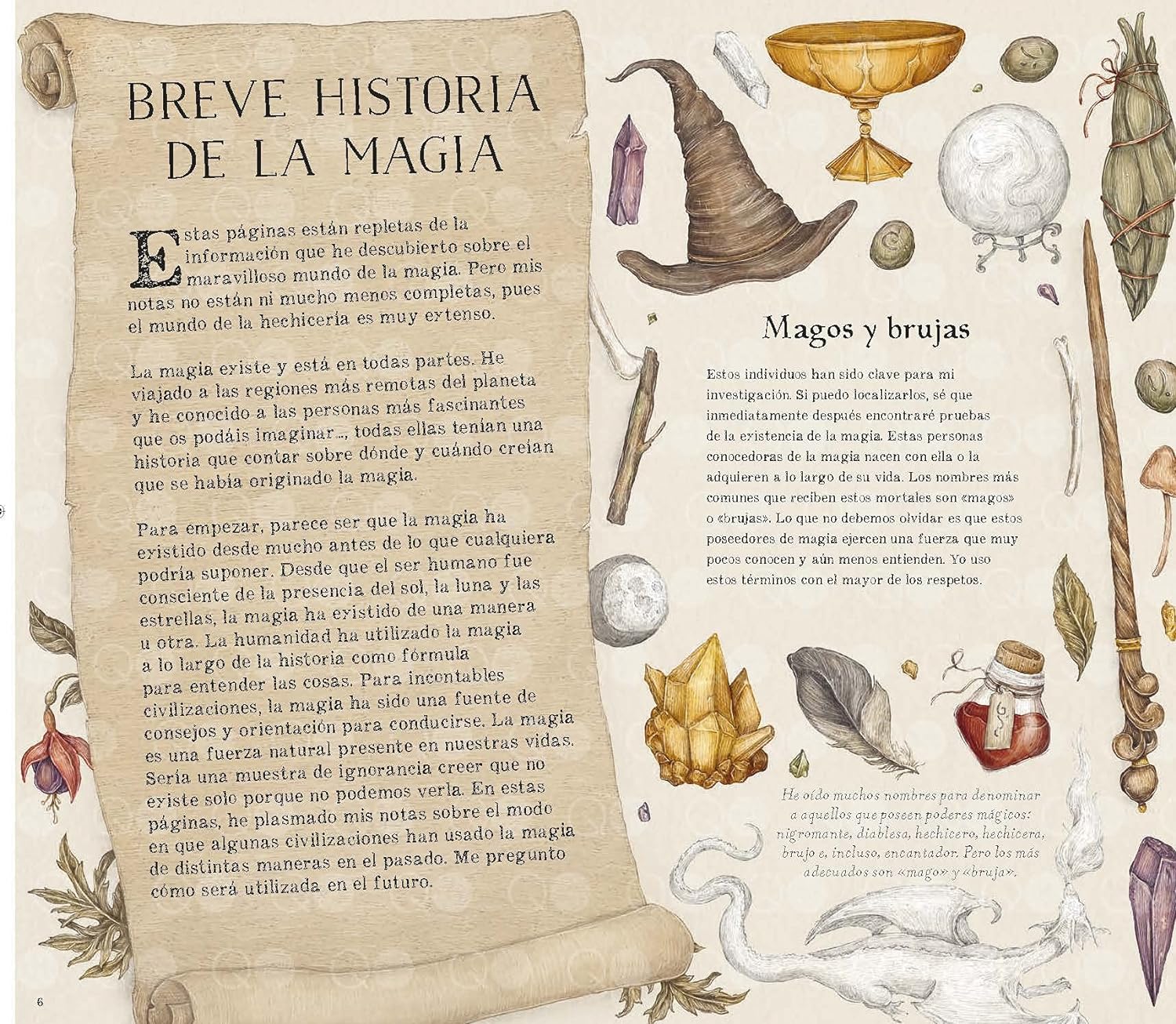 Historia Natural de la Magia