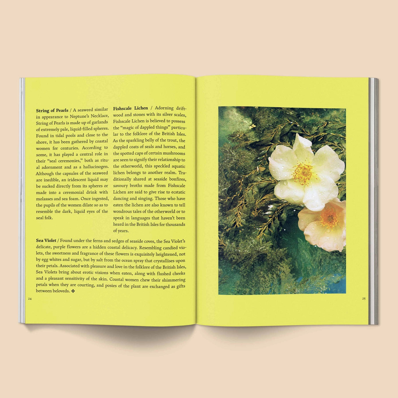 Fruit of Mythic Dreaming: Imagined Folklore & Otherworld Botany