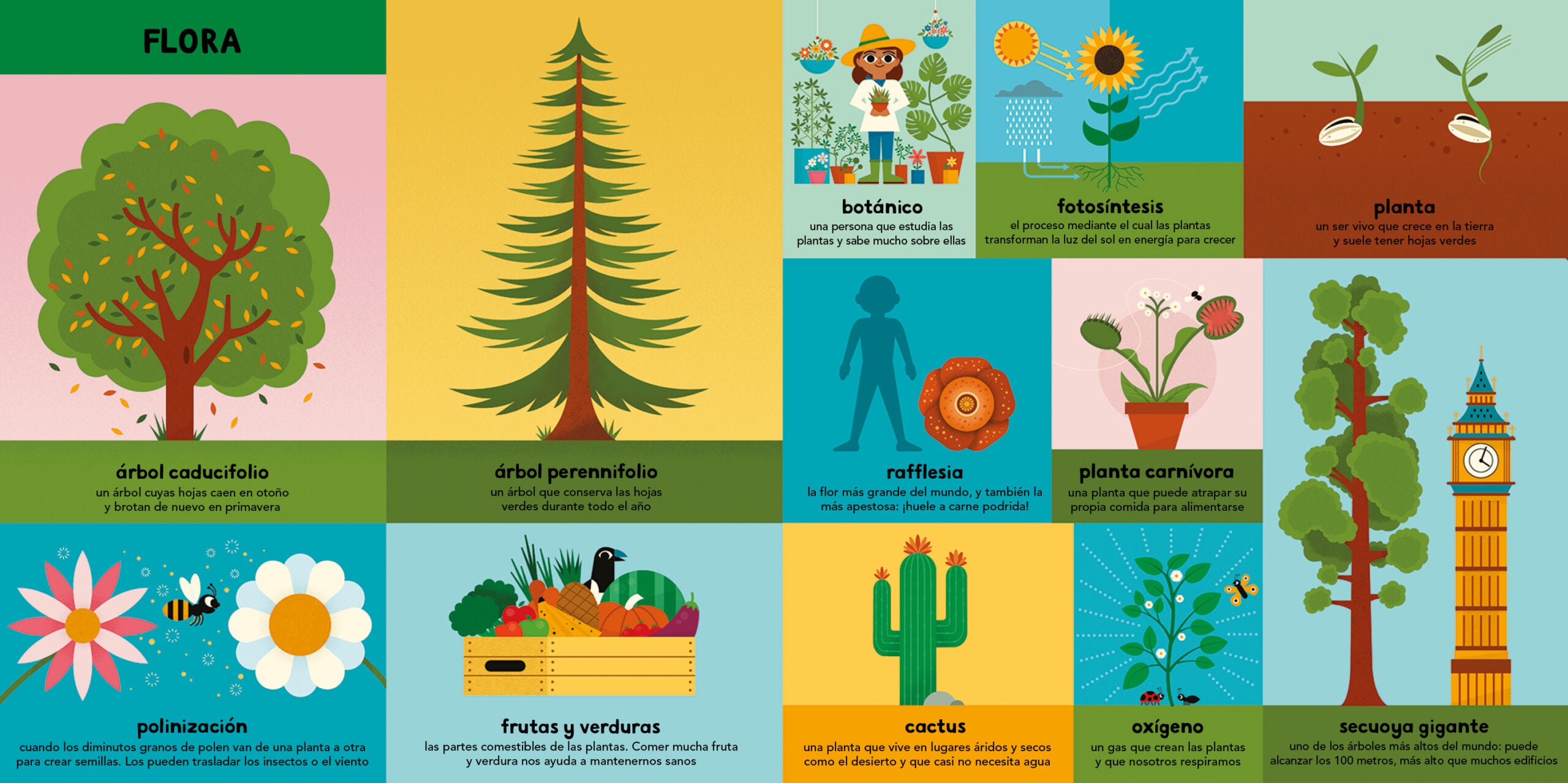 Mi primer libro de todo - Ben Newman