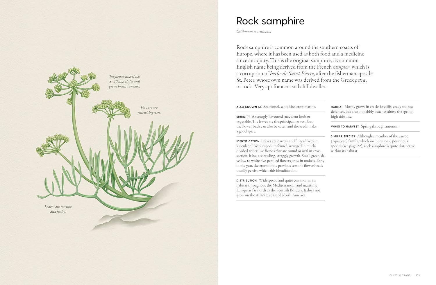The Coastal Forager: Wild maritime food to preserve, cook, eat