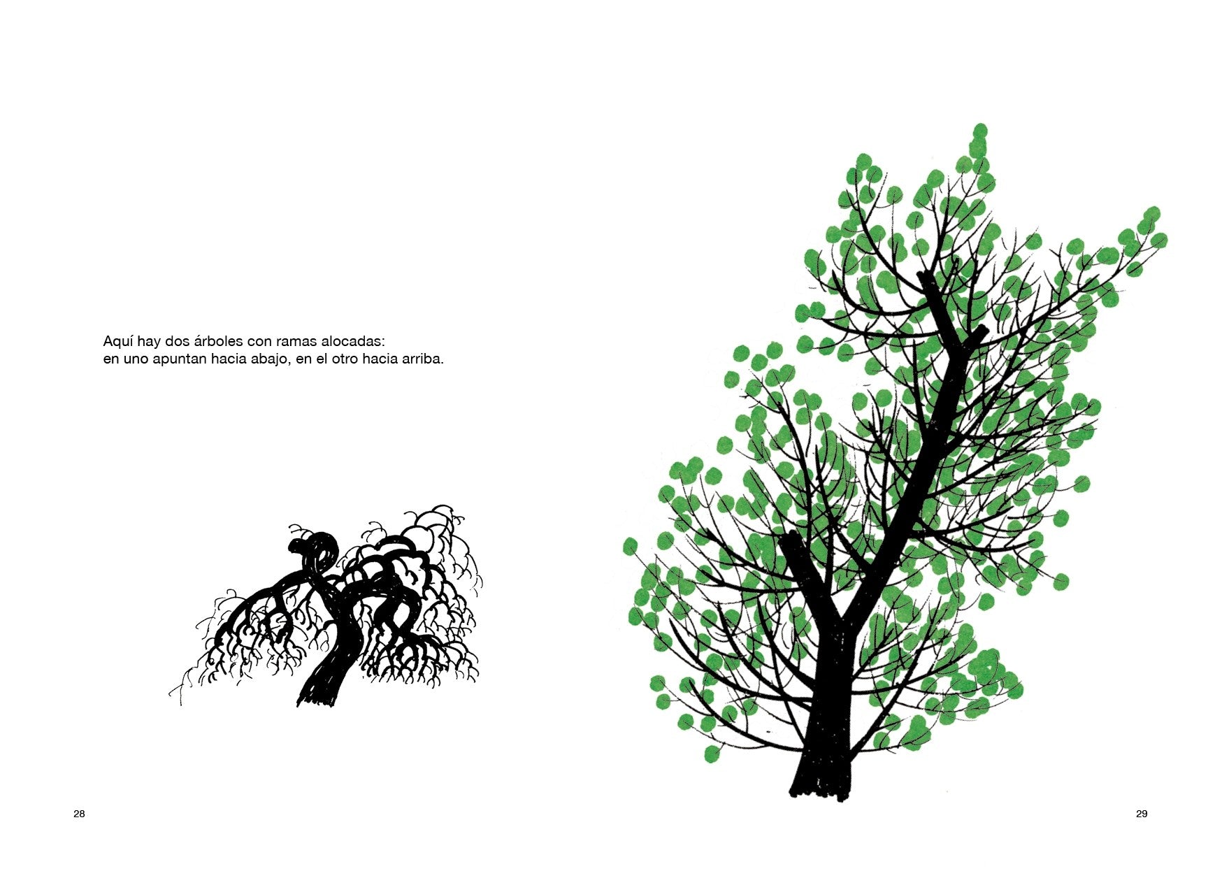 Dibujar un árbol - Bruno Munari