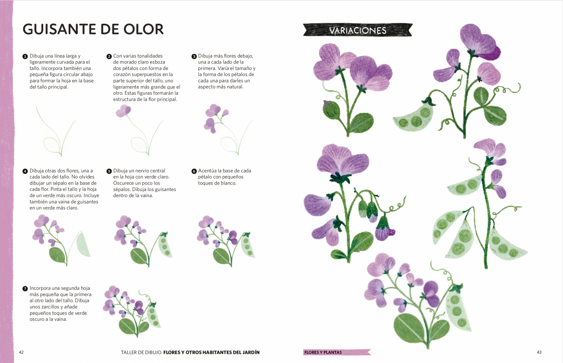 Taller de dibujo: Flores y otros habitantes del jardín