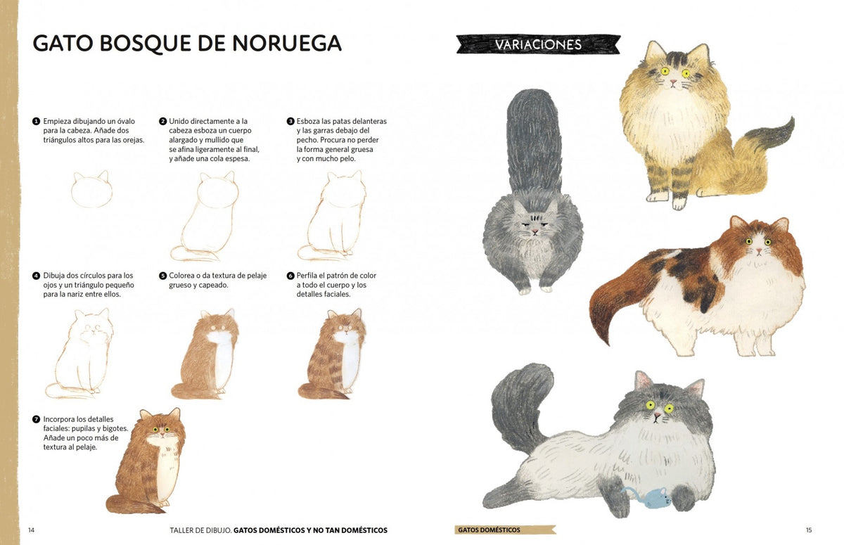 Taller de dibujo: gatos domésticos y no tan domésticos