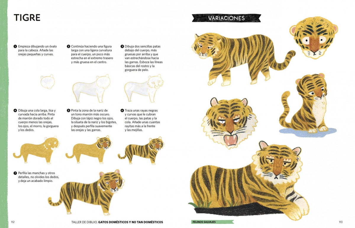 Taller de dibujo: gatos domésticos y no tan domésticos