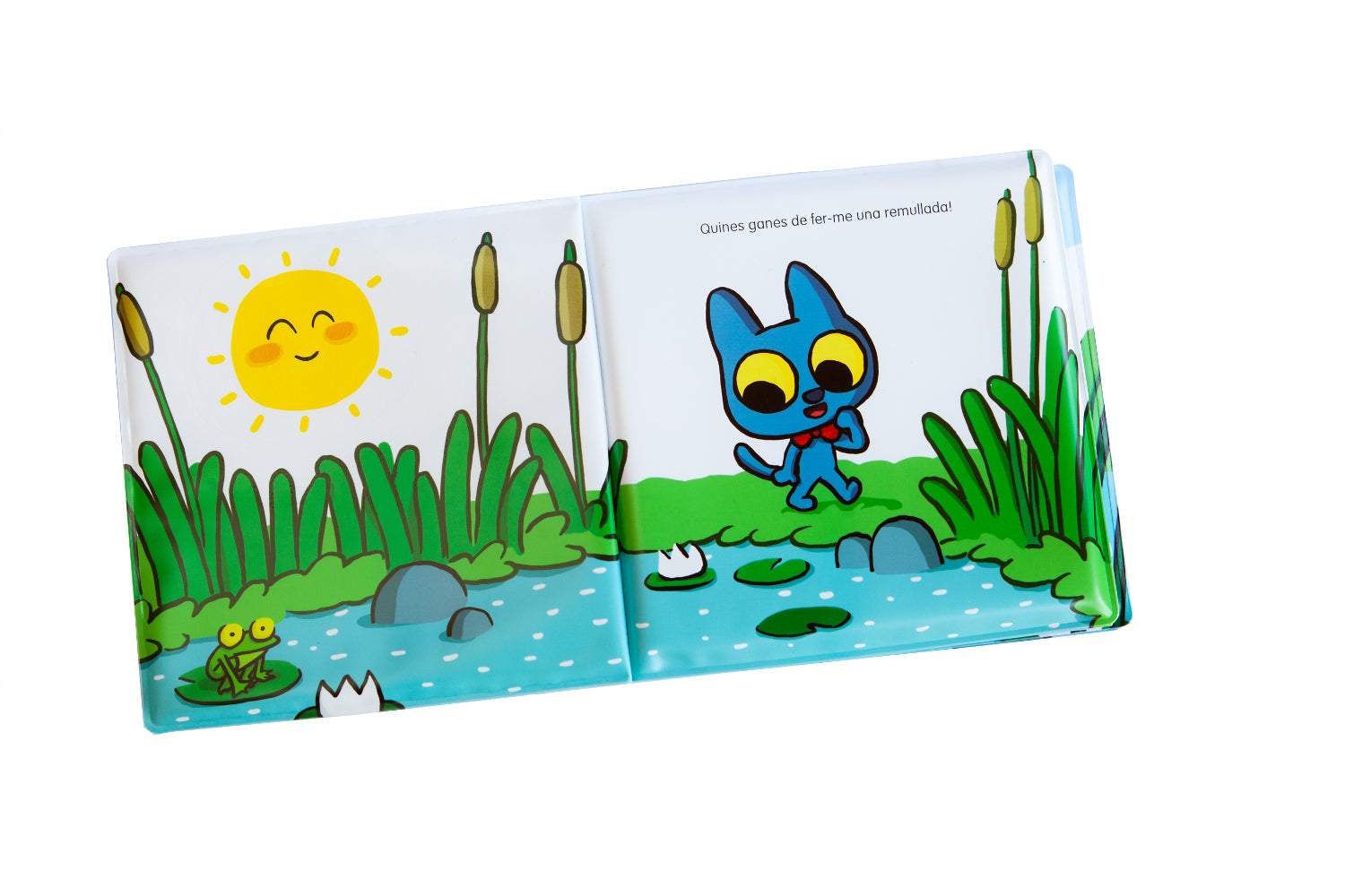 Minino y el chapuzón