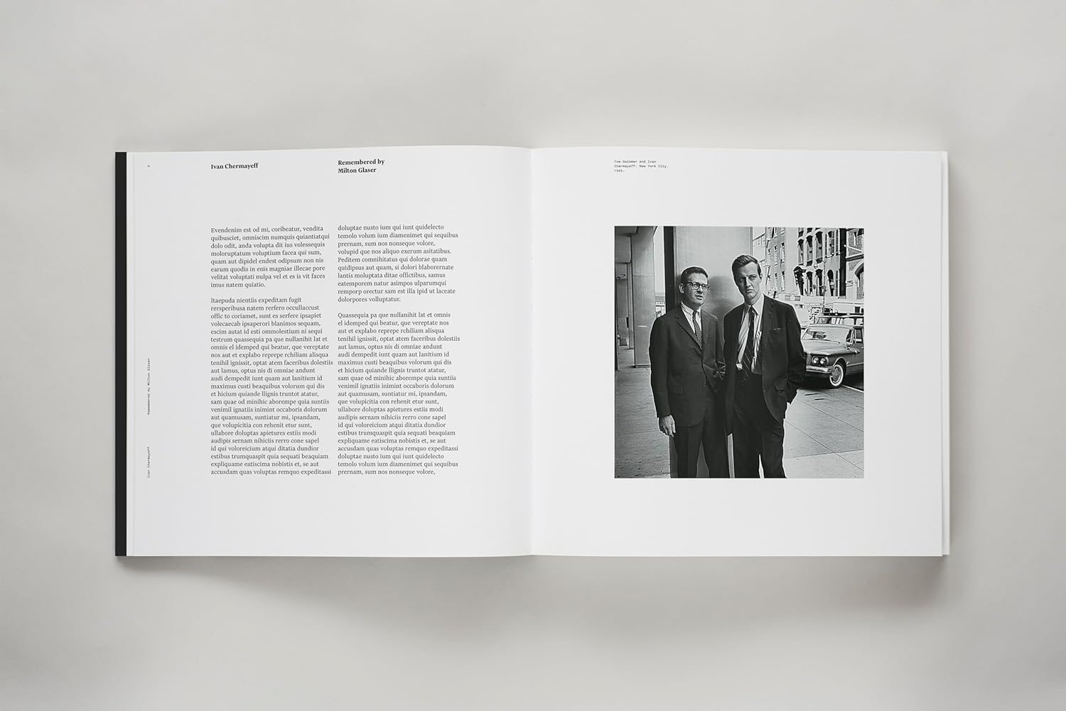 Identity: Chermayeff & Geismar & Haviv Compact Edition