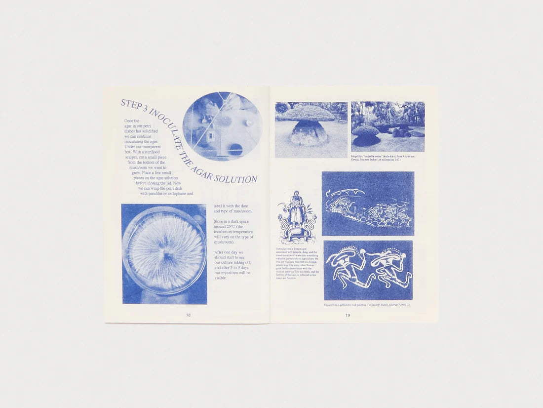 How To Make Objects With Mycelium