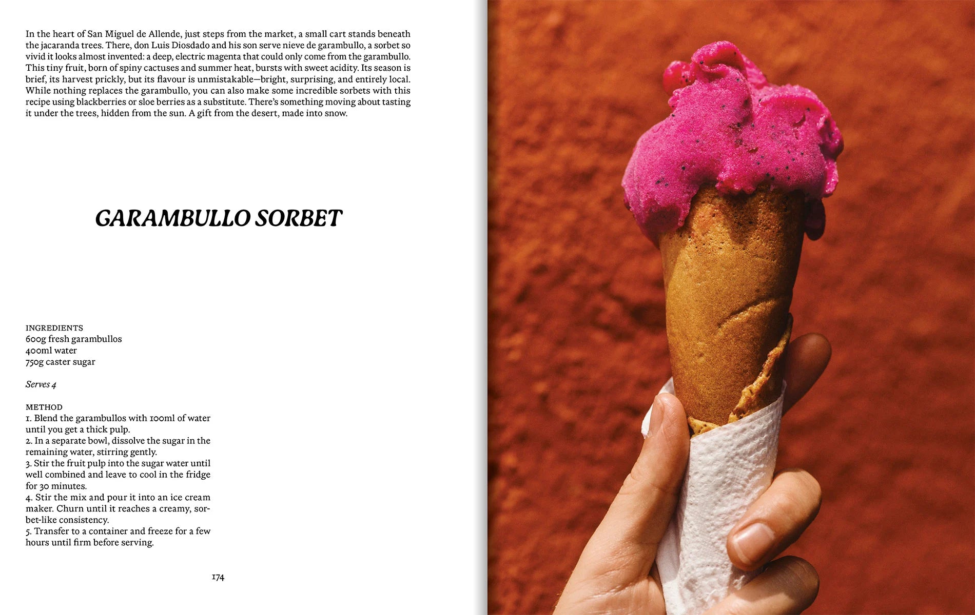 El Bajío: Recipes & Wanderings