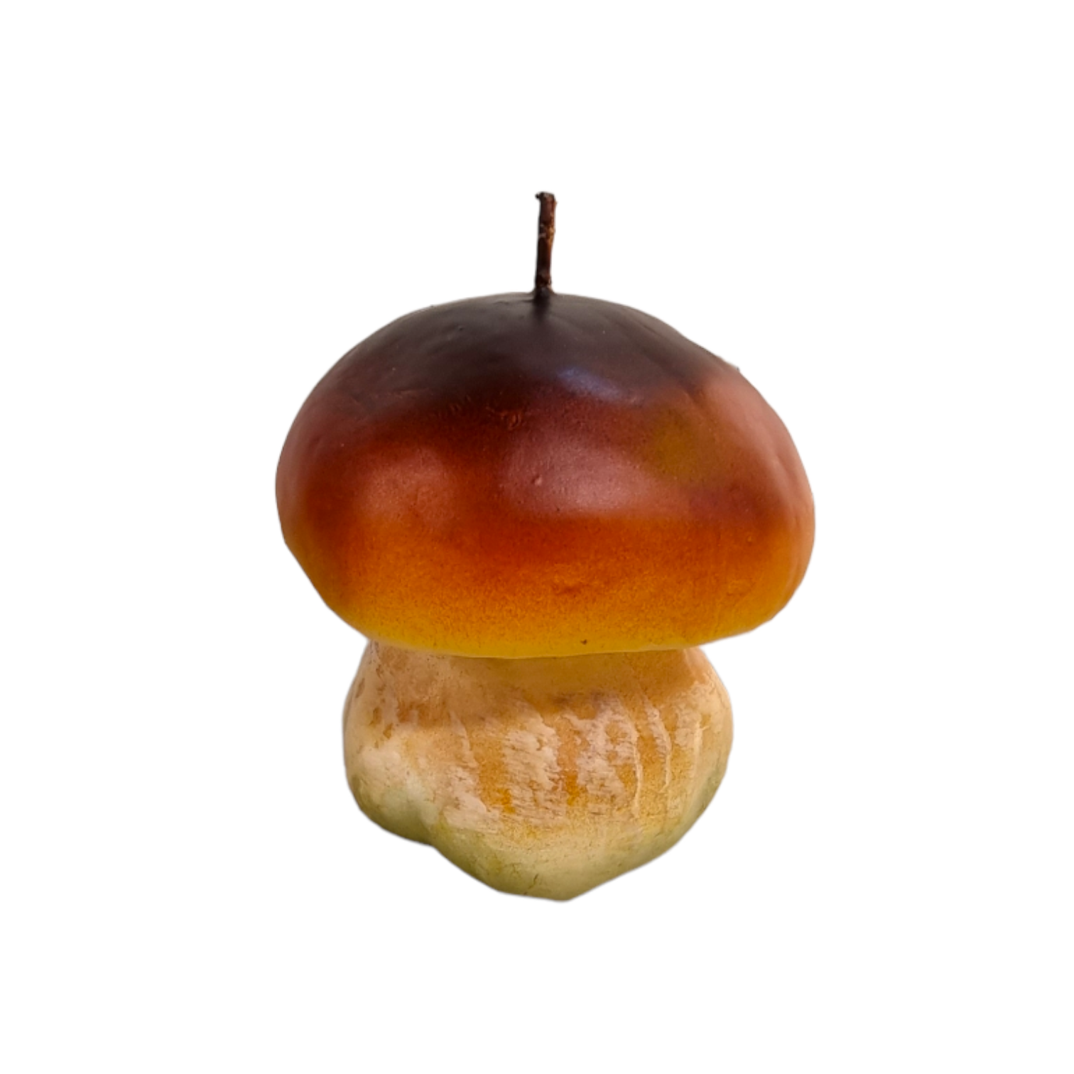 Vela Hongo Porcino