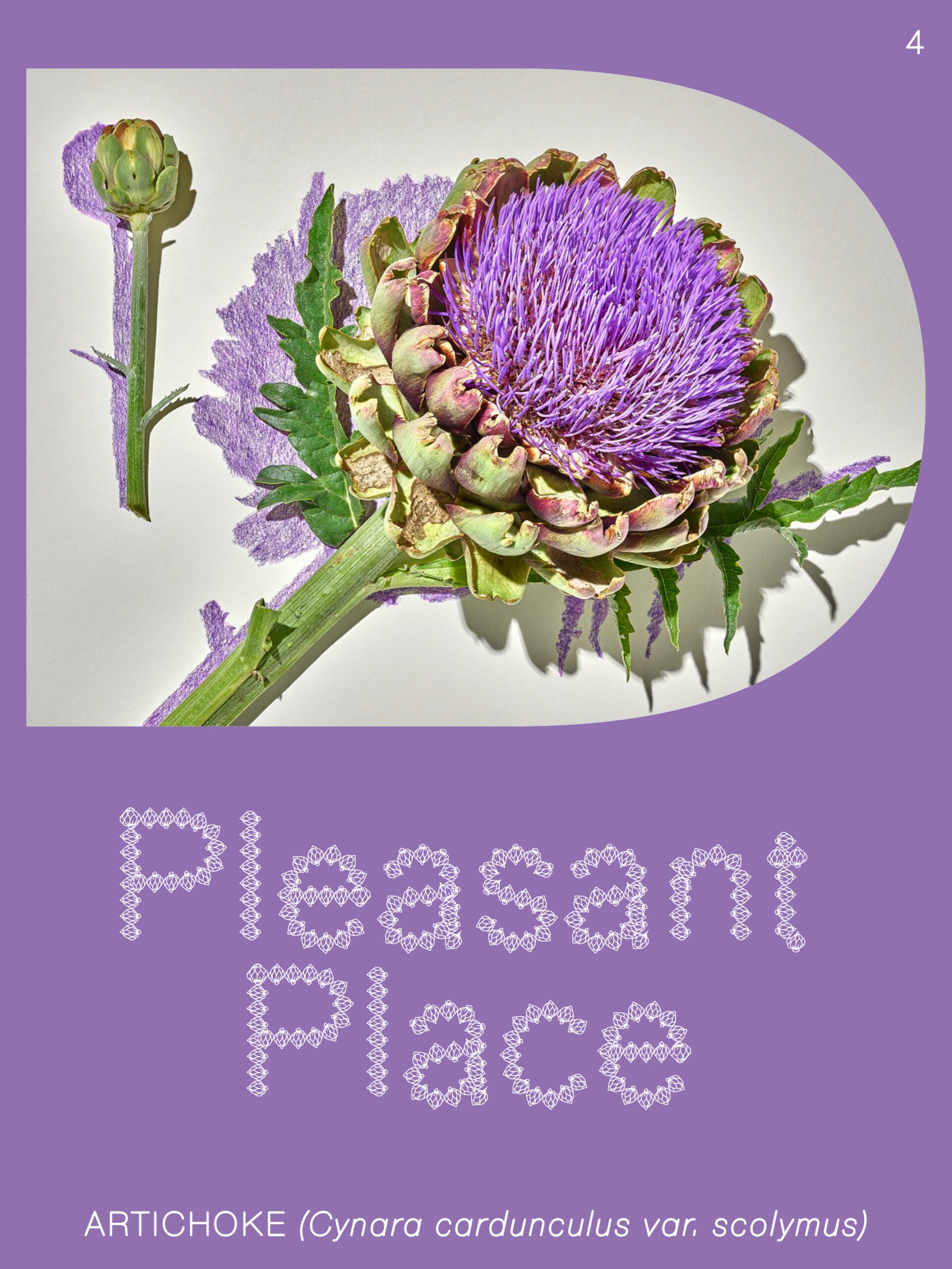 Pleasant Place 4 : Artichaut