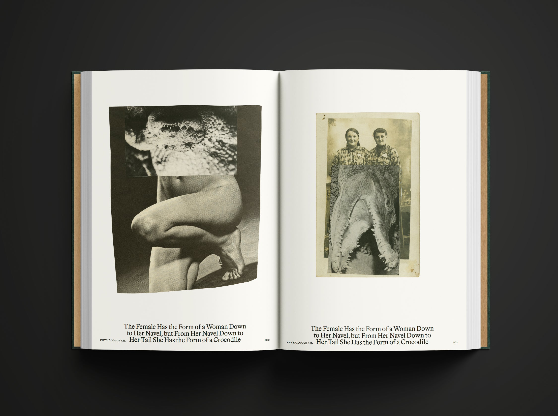 Bestiary - Anne Geene And Arjan De Nooy