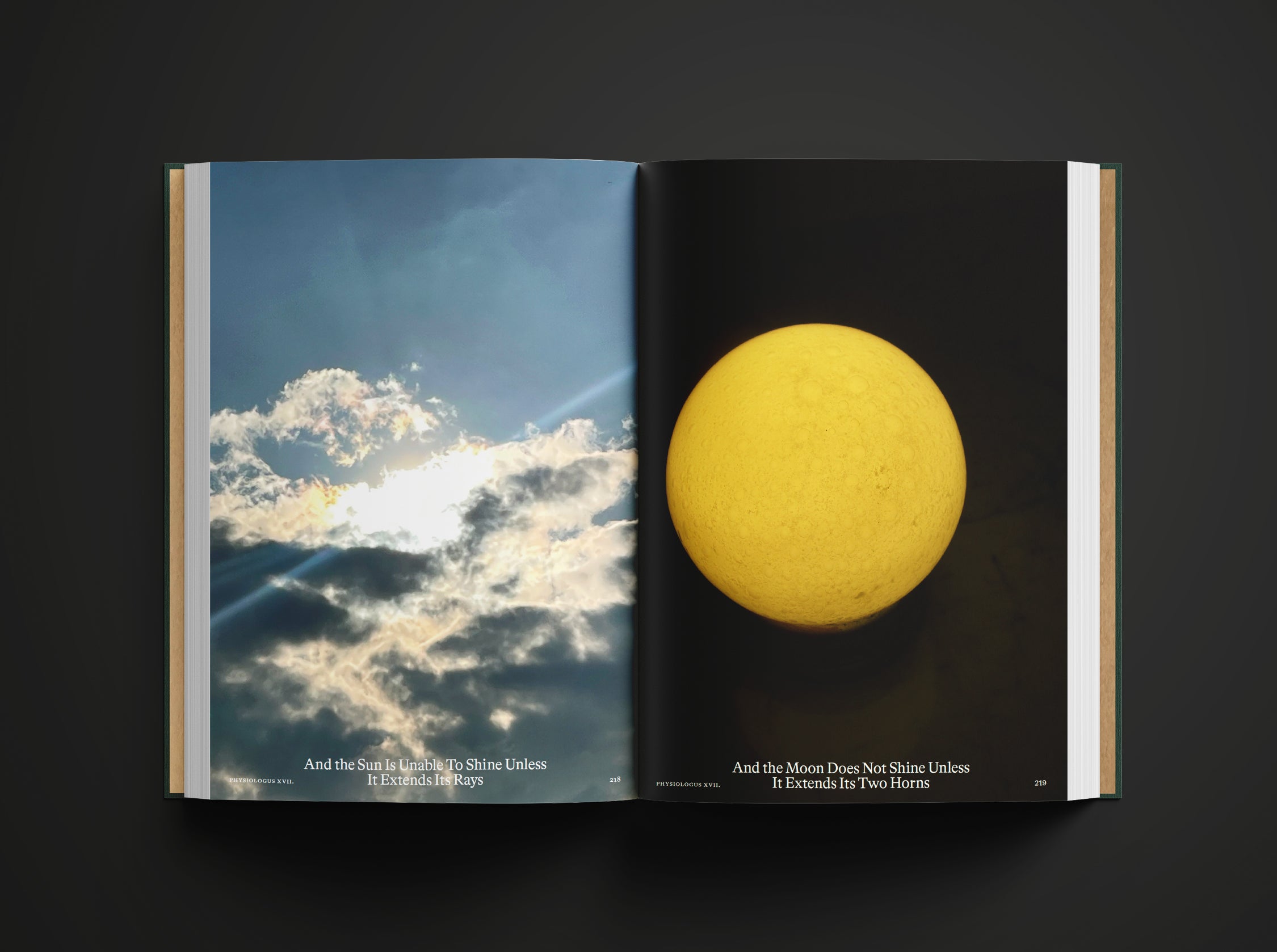 Bestiary - Anne Geene And Arjan De Nooy