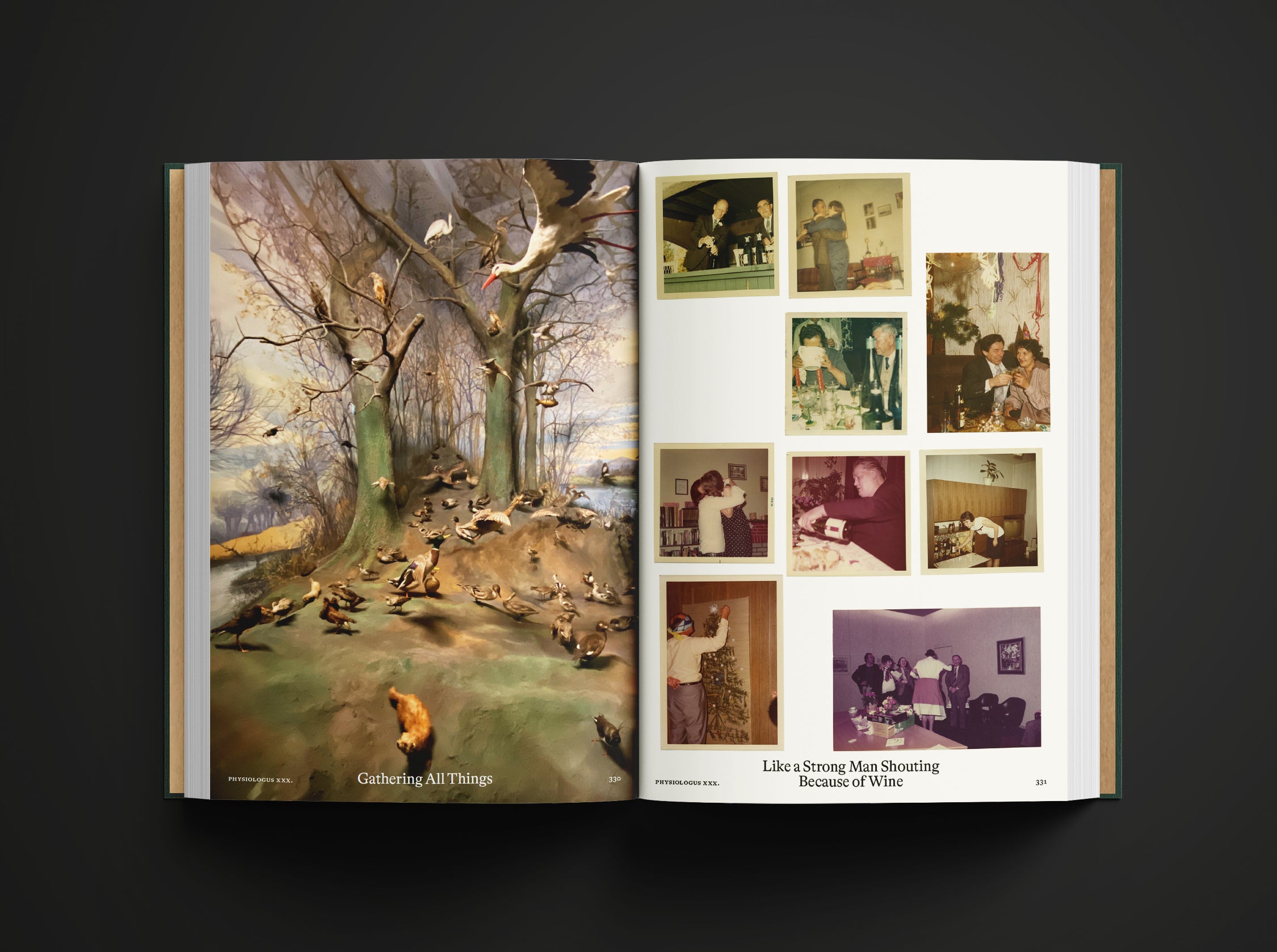 Bestiary - Anne Geene And Arjan De Nooy