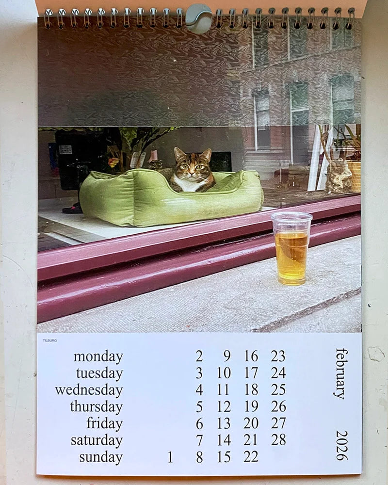 Calendario 2026 Cats and Dogs in the Window
