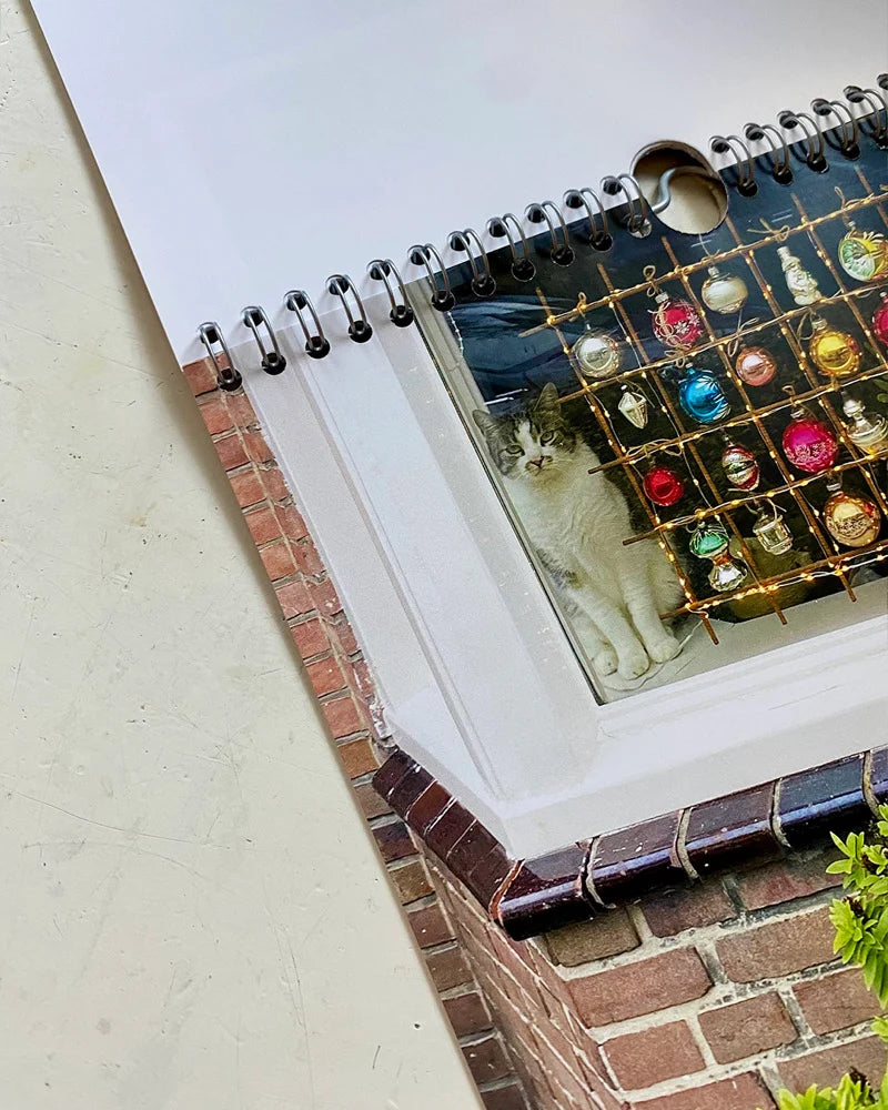 Calendario 2026 Cats and Dogs in the Window