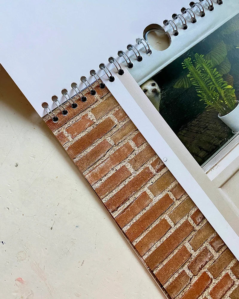 Calendario 2026 Cats and Dogs in the Window