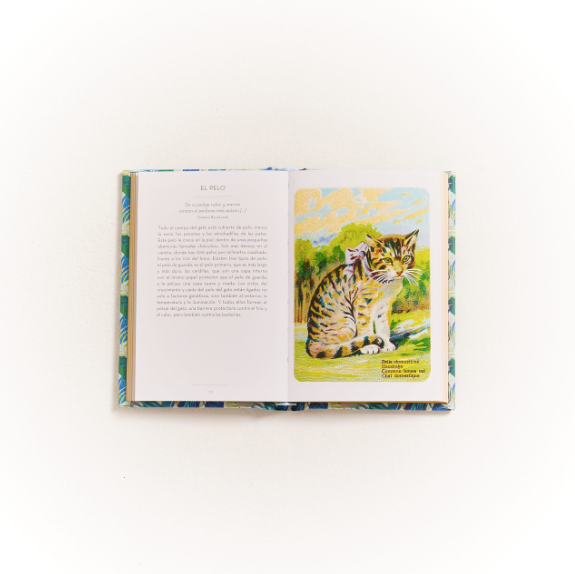 El pequeño libro de los gatos