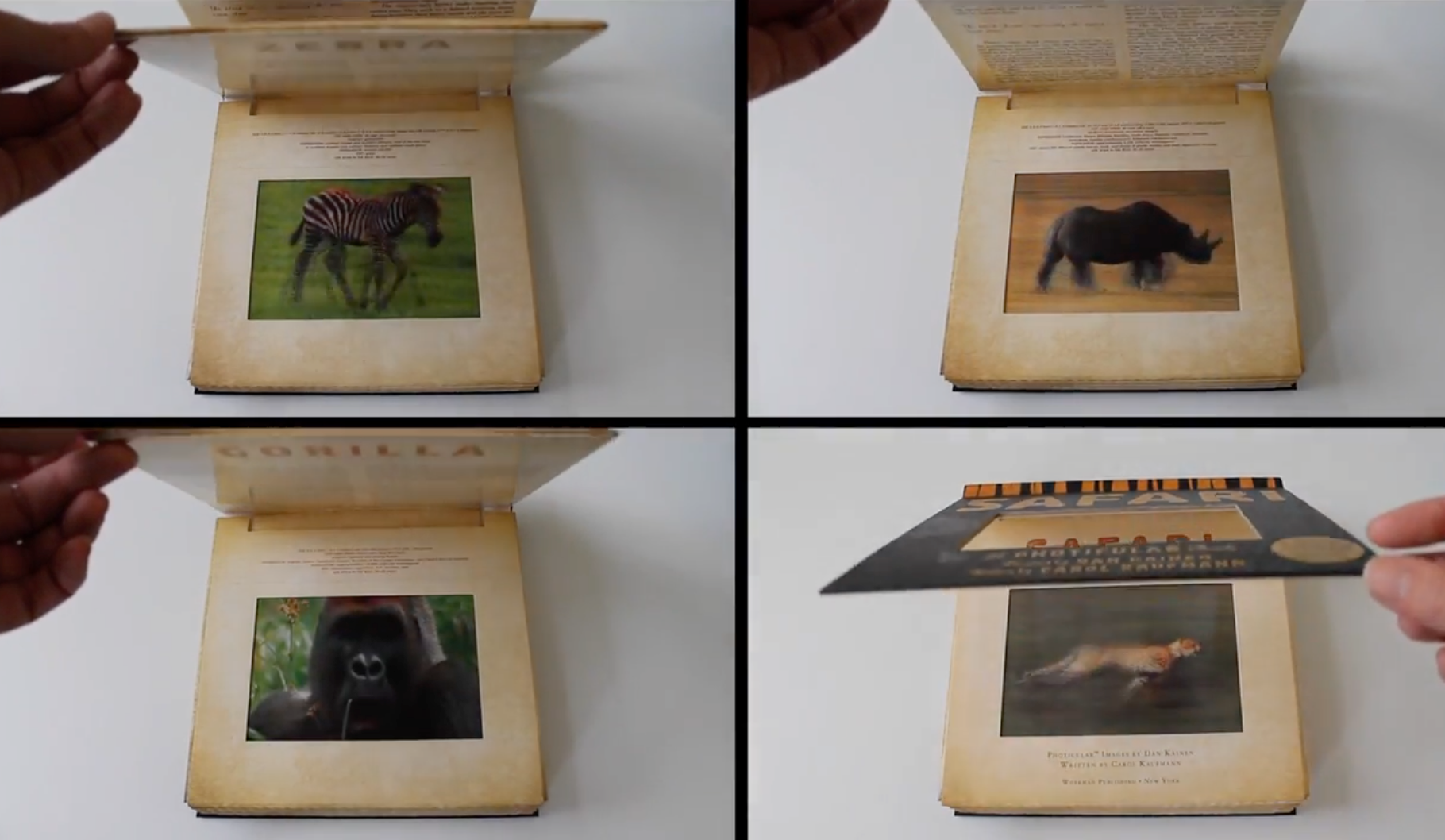 Safari: Un libro animado en Photicular