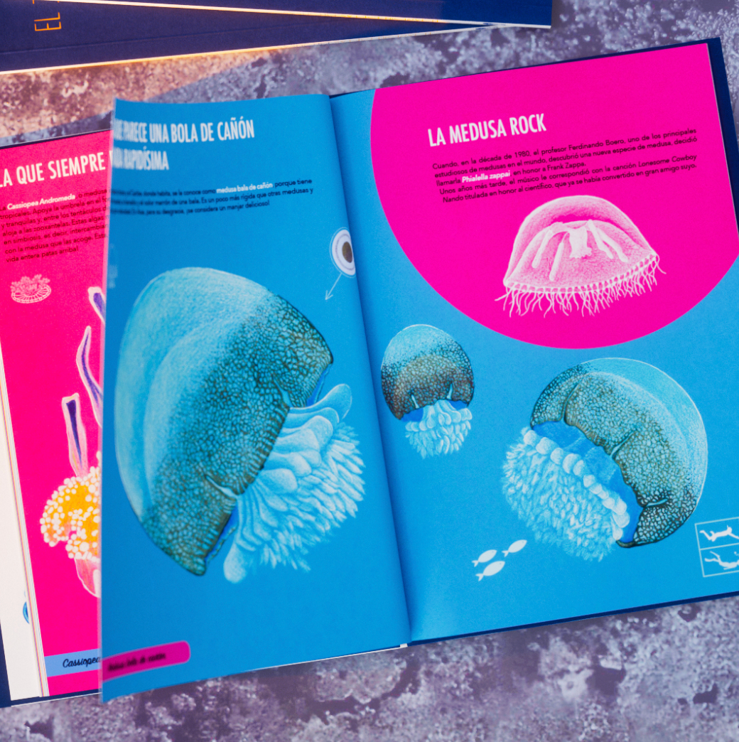 El jardín de las medusas